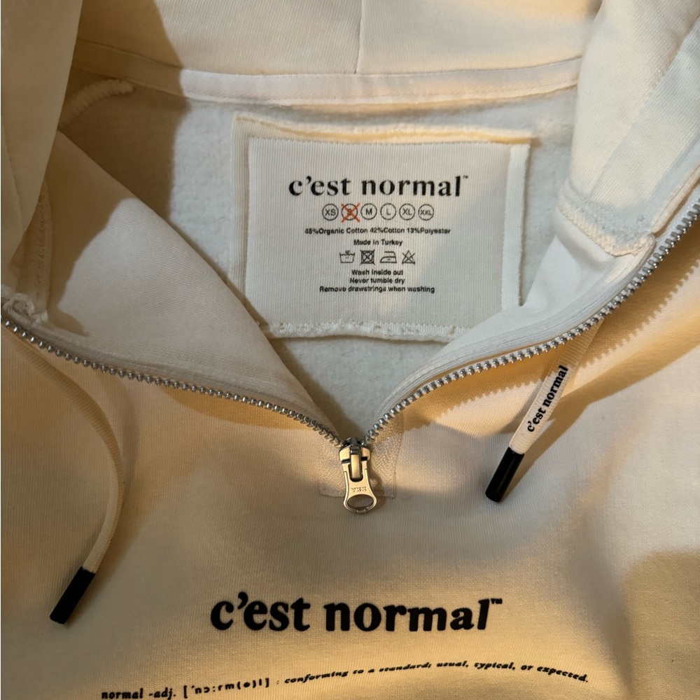 C’est Normal hoodie - Picture 3 of 5